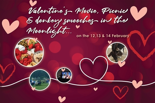 Valentine's movie, picnic & donkey smooches in the moonlight